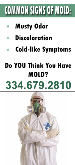 Montgomery Mold Remediation Contractor